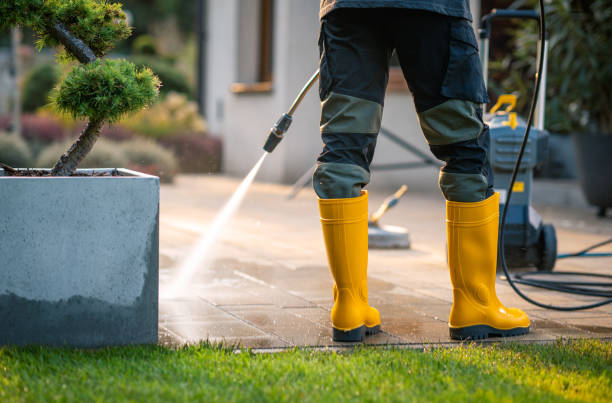 Best Power Washing Near Me  in Diberville, MS